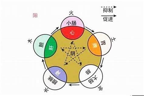 益 五行|益字五行属什么 益在五行中属什么